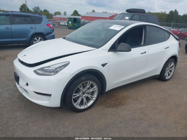 2021 TESLA MODEL Y 5YJYGDEE3MF295032 Photo 1