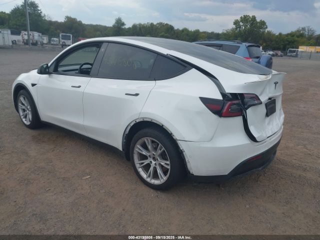 2021 TESLA MODEL Y 5YJYGDEE3MF295032 Photo 2