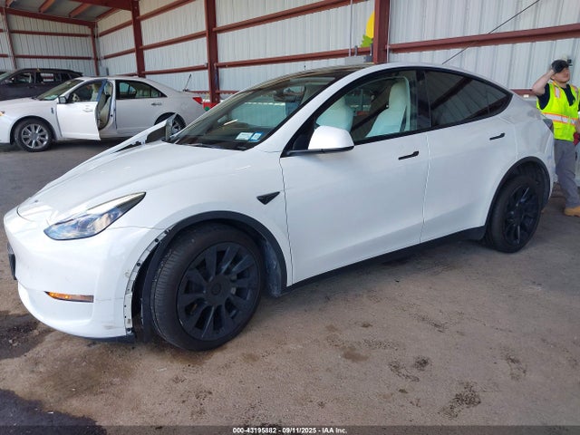 7SAYGDEE1NF543976 Tesla 2022