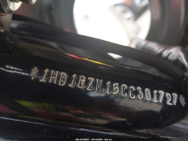 2012 HARLEY-DAVIDSON FLD 1HD1GZM15CC301727 Photo 9