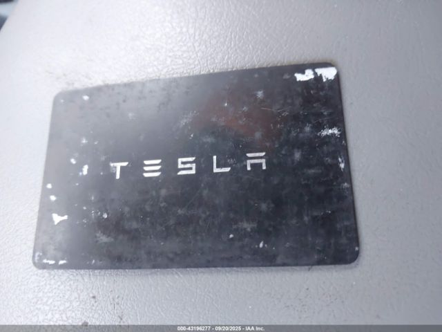 2025 TESLA MODEL 3 5YJ3E1EA7SF879247 Photo 10