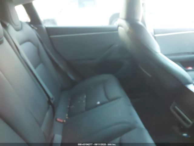 2025 TESLA MODEL 3 5YJ3E1EA7SF879247 Photo 7