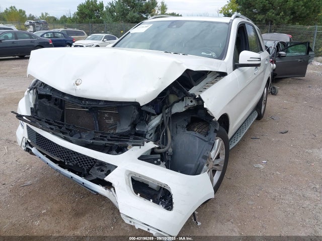 Mercedes-Benz Ml-Class 2014 4JGDA5HB0EA356026 Image 6