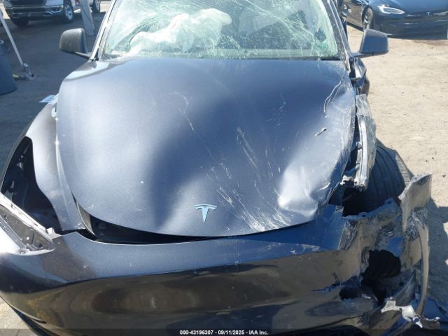 2025 TESLA MODEL Y 7SAYGDEF1SF245917 Photo 9