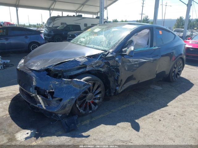 2025 TESLA MODEL Y 7SAYGDEF1SF245917 Photo 1