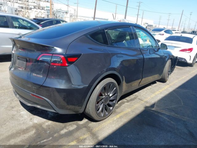 2025 TESLA MODEL Y 7SAYGDEF1SF245917 Photo 3