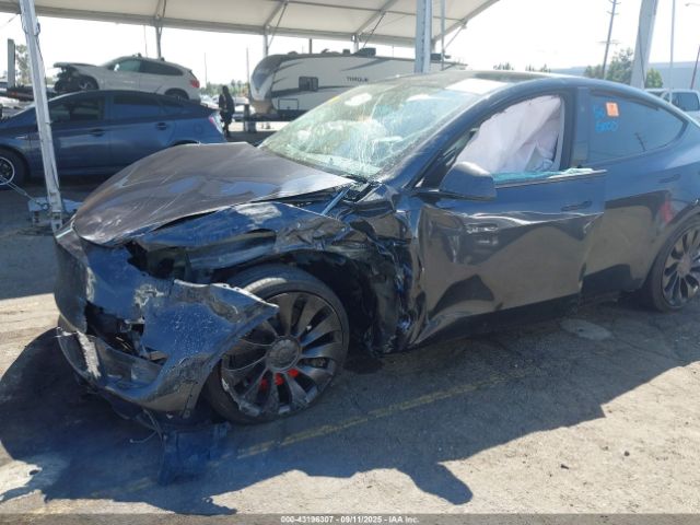 2025 TESLA MODEL Y 7SAYGDEF1SF245917 Photo 5