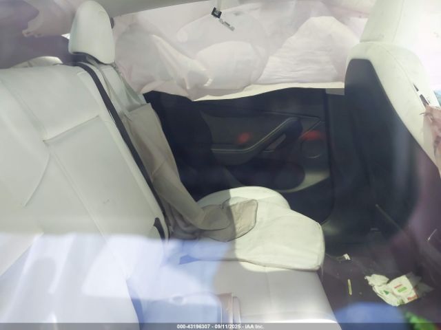 2025 TESLA MODEL Y 7SAYGDEF1SF245917 Photo 7