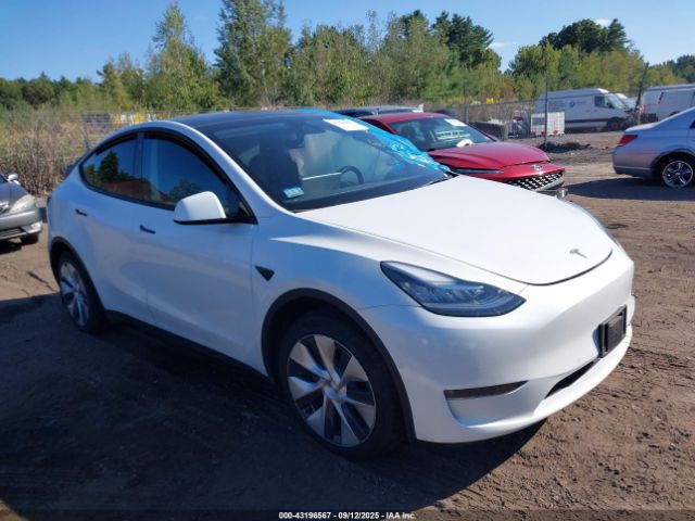 2022 TESLA MODEL Y 7SAYGDEE6NF337729 Photo 0