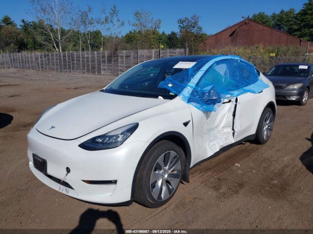 2022 TESLA MODEL Y 7SAYGDEE6NF337729 Photo 1