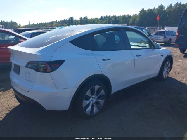 2022 TESLA MODEL Y 7SAYGDEE6NF337729 Photo 3