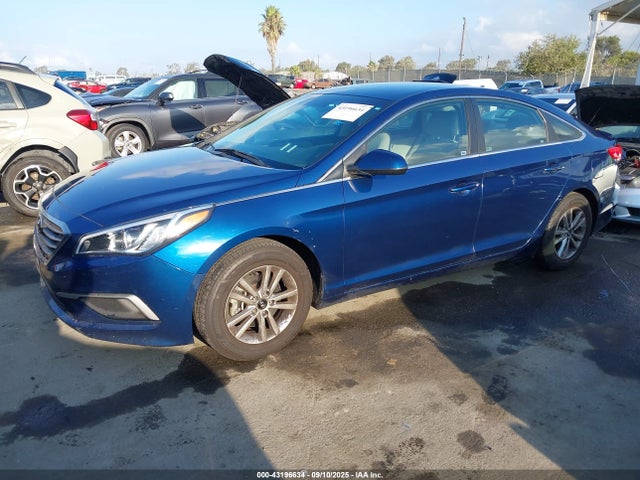 5NPE24AF7HH554726 Hyundai Sonata
