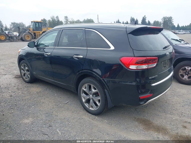 5XYPKDA58HG275860 KIA 2017