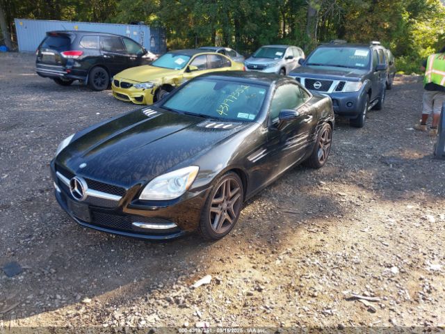 2015 MERCEDES-BENZ SLK 250 WDDPK4HA9FF101790 Photo 1