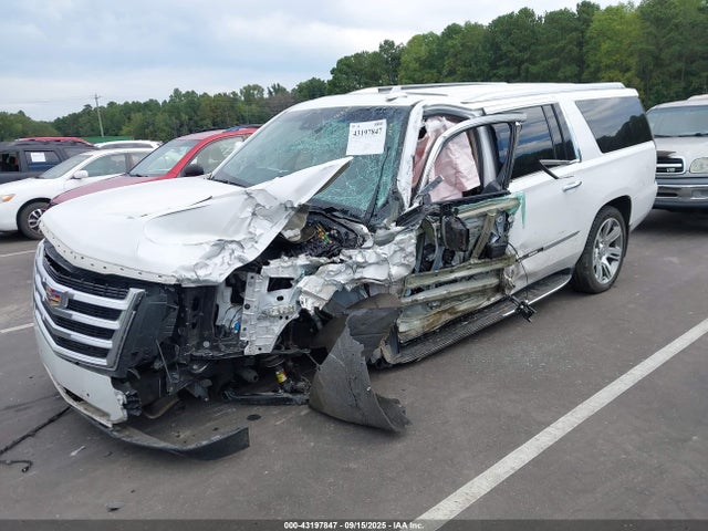 2019 CADILLAC ESCALADE ESV 1GYS4HKJ7KR257246 Photo 1