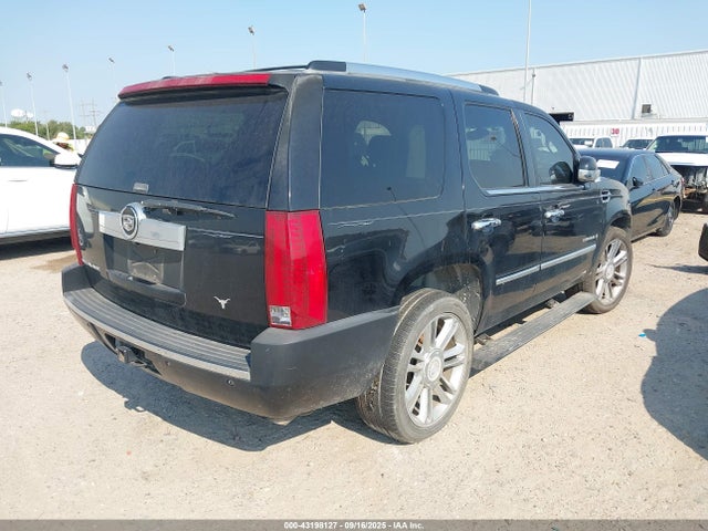 2007 CADILLAC ESCALADE 1GYEC63897R302114 Photo 3