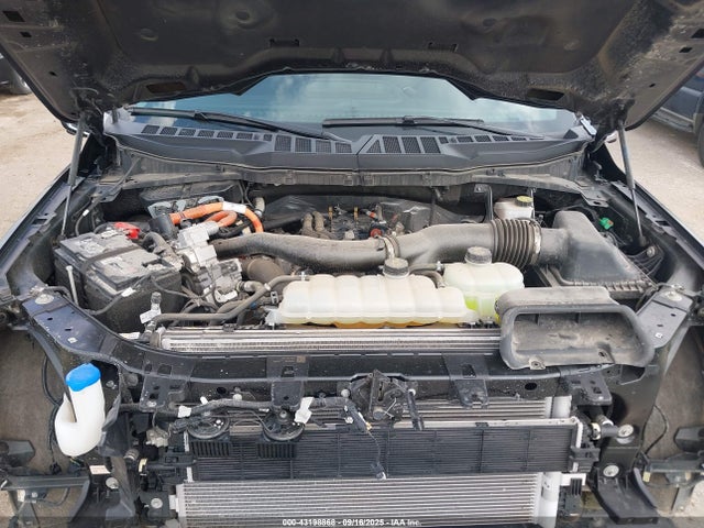 1FTFW3LD5RFA49133 Ford F-150 Xlt