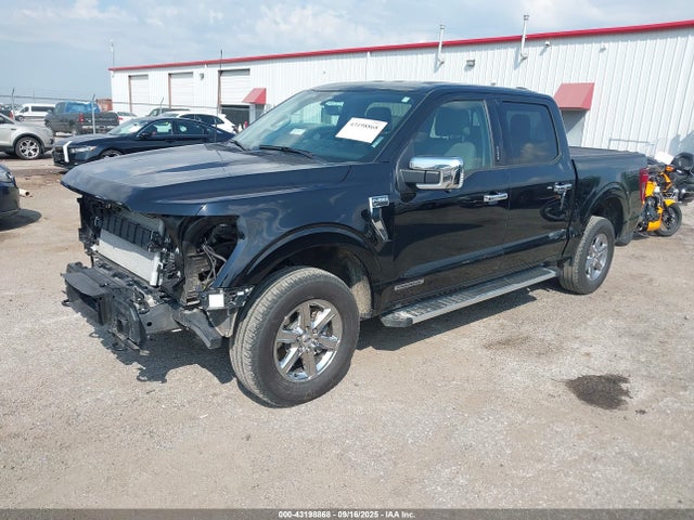 1FTFW3LD5RFA49133 Ford F-150 Xlt
