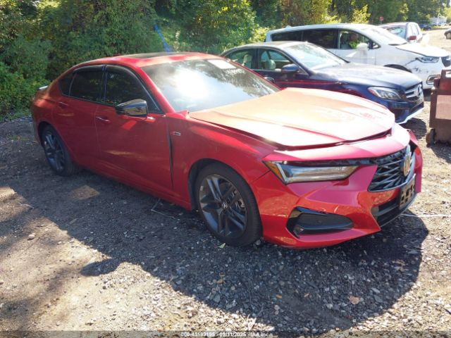 2024 ACURA TLX 19UUB6F5XRA001473