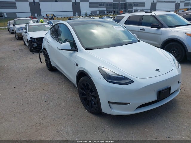 2024 TESLA MODEL Y 7SAYGDEE3RA251359 Photo 0