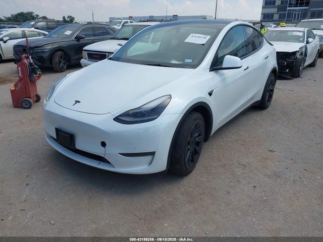 2024 TESLA MODEL Y 7SAYGDEE3RA251359 Photo 1