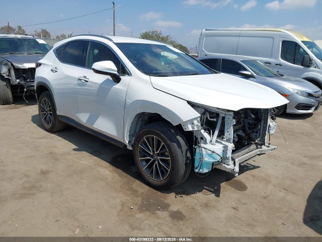 2023 LEXUS NX 250 JTJADCAZ2P5011986