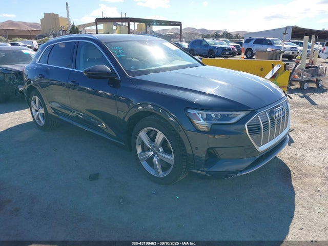 2019 AUDI E-TRON WA1LAAGE4KB009805 Photo 0