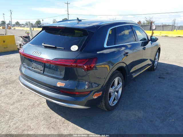 2019 AUDI E-TRON WA1LAAGE4KB009805 Photo 3