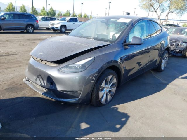 2023 TESLA MODEL Y 7SAYGDEE4PF903647 Photo 1