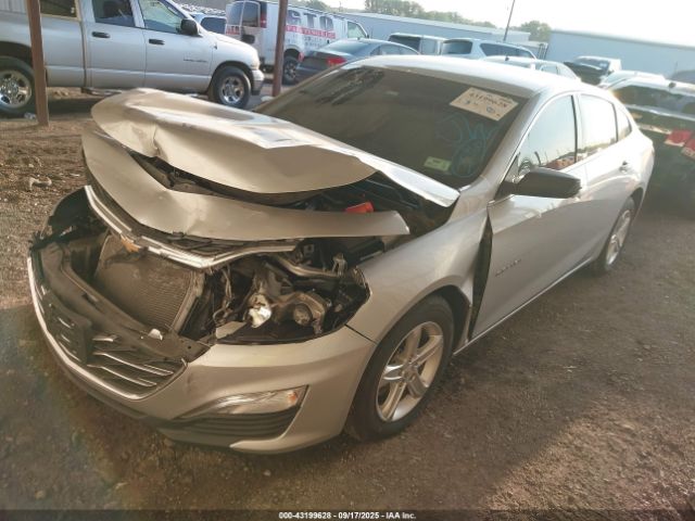 2019 CHEVROLET MALIBU 1G1ZC5ST3KF134352 Photo 1
