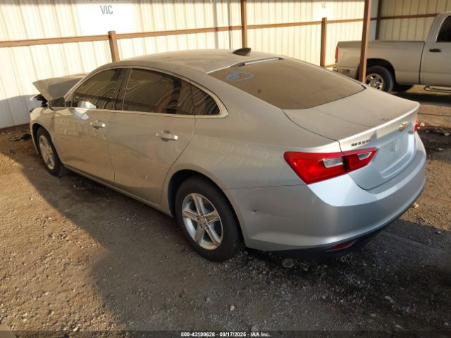 2019 CHEVROLET MALIBU 1G1ZC5ST3KF134352 Photo 2