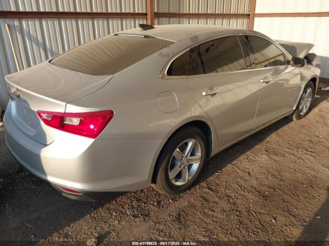 2019 CHEVROLET MALIBU 1G1ZC5ST3KF134352 Photo 3