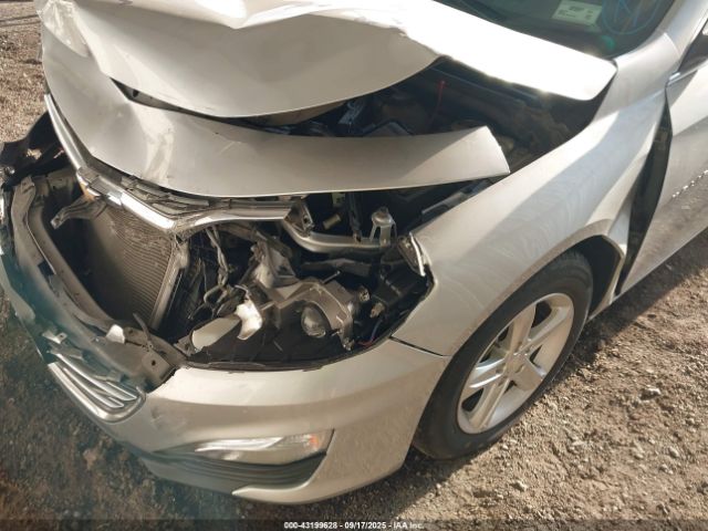 2019 CHEVROLET MALIBU 1G1ZC5ST3KF134352 Photo 5