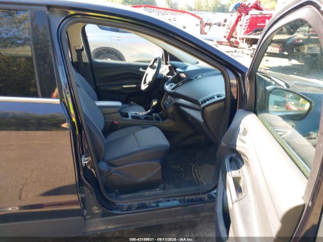 2019 FORD ESCAPE 1FMCU0GDXKUC06797 Photo 4