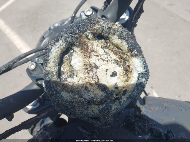 2023 INDIAN MOTORCYCLE CO. SCOUT 56KMTA003P3198476 Photo 6