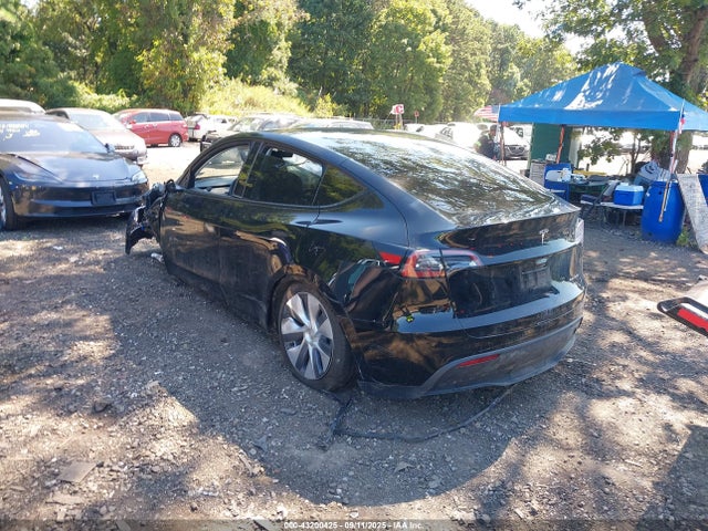 2024 TESLA MODEL Y 7SAYGDEE0RA263193 Photo 2