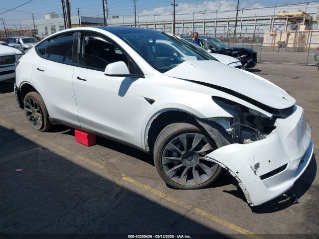 2021 TESLA MODEL Y 5YJYGAEEXMF158832 Photo 0
