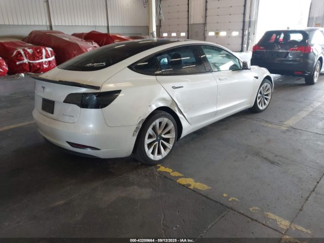 2022 TESLA MODEL 3 5YJ3E1EB0NF143943 Photo 3