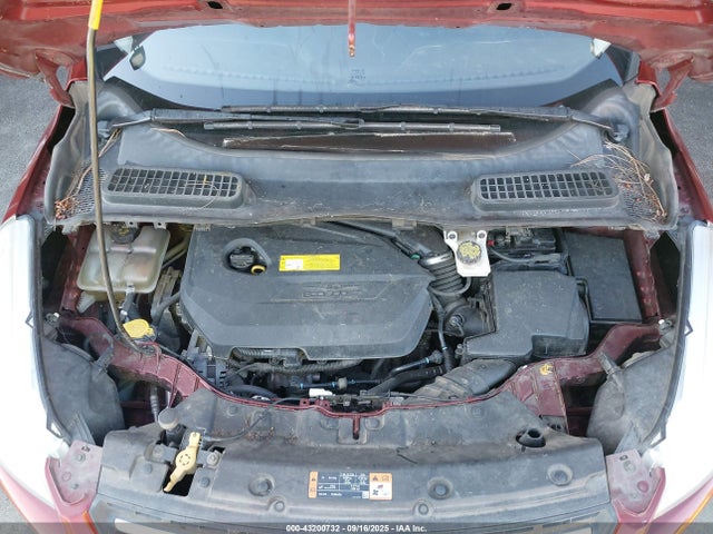 1FMCU0GXXGUC00211 Ford Escape