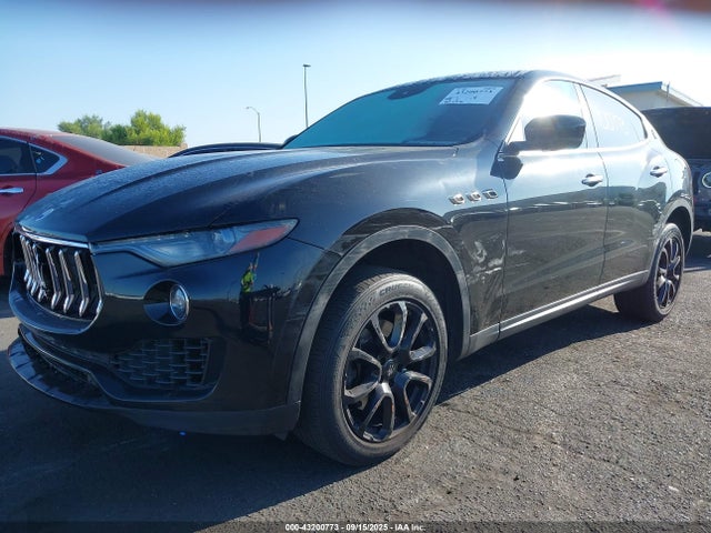 ZN661XUA1HX253834 Maserati m156d