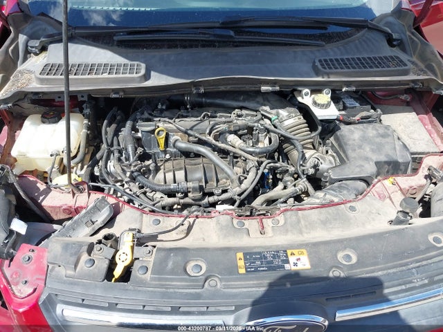 1FMCU0GX1EUC76171 Ford Escape
