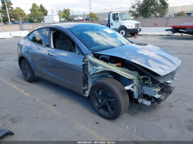 2026 TESLA MODEL Y 7SAYGDEE9TF357034