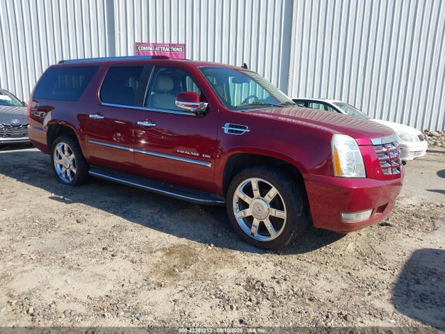 2010 CADILLAC ESCALADE ESV 1GYUKHEF3AR224524 Photo 0