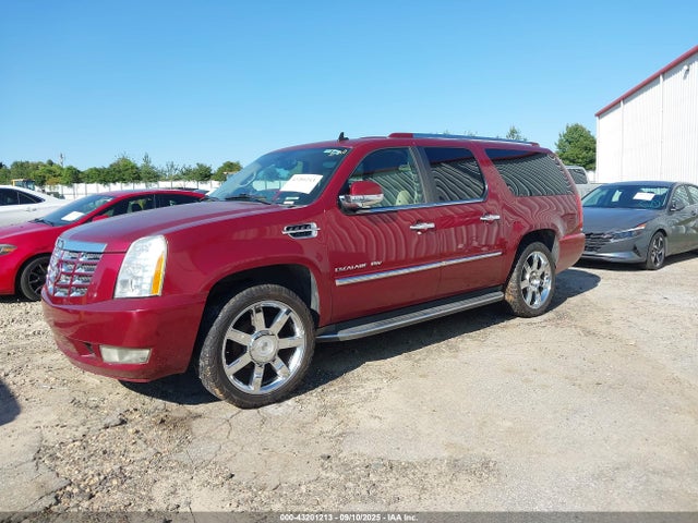 2010 CADILLAC ESCALADE ESV 1GYUKHEF3AR224524 Photo 1