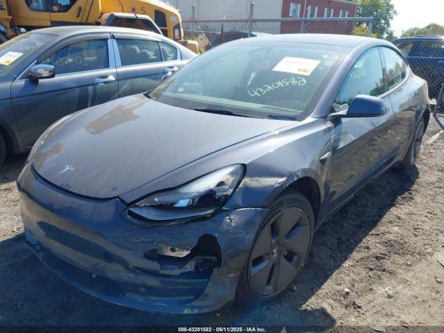 2023 TESLA MODEL 3 5YJ3E1EAXPF417420 Photo 1