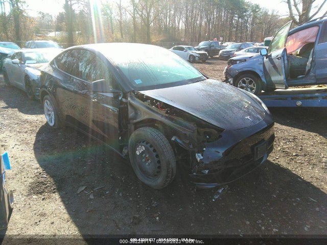 2021 TESLA MODEL Y 5YJYGDEE6MF233186 Photo 0