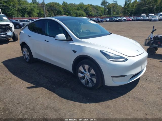 2023 TESLA MODEL Y 7SAYGDEE2PA037122 Photo 0