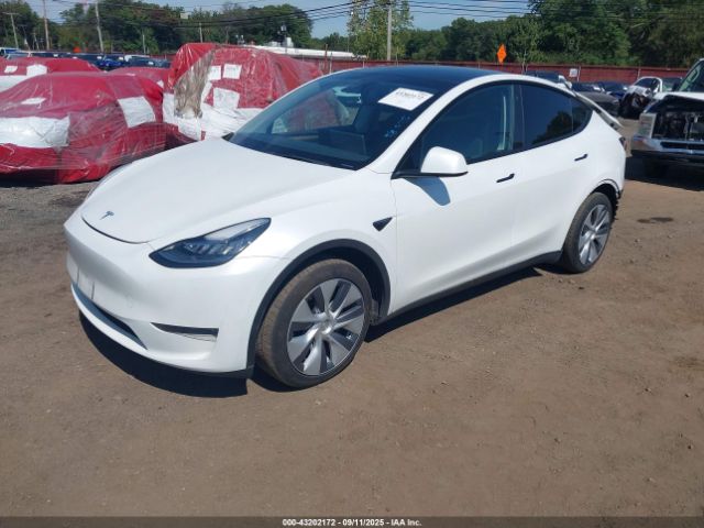 2023 TESLA MODEL Y 7SAYGDEE2PA037122 Photo 1
