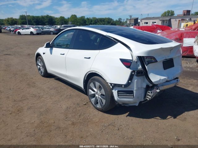 2023 TESLA MODEL Y 7SAYGDEE2PA037122 Photo 2