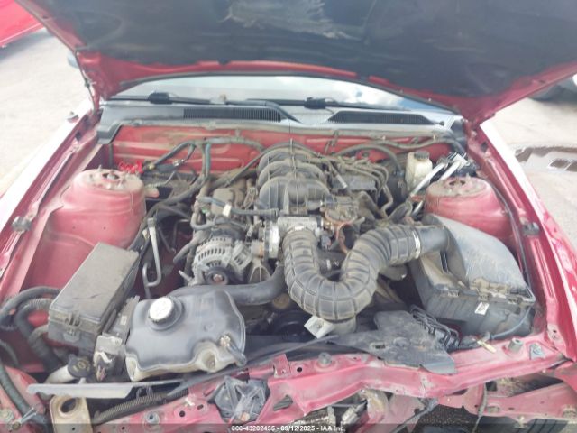 2009 FORD MUSTANG 1ZVHT80N195114641 Photo 9